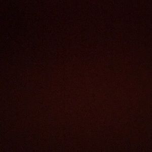 Meet your Posher, Lily